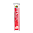 Viên Uống Hỗ Trợ Tăng Sức Đề Kháng Sunlife Multivitamin & Minerals (Hộp 2 Tuýp X 20 Viên)