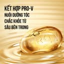 Gội Xả 2IN1 Pantene Moisture Renewal - Made in Usa Dưỡng Ẩm Tóc (Chai 355ml)