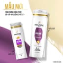 Gội Xả 2IN1 Pantene Sheer Volume - Made in Usa Giúp Mái Tóc Bồng Bềnh (Chai 355ml)