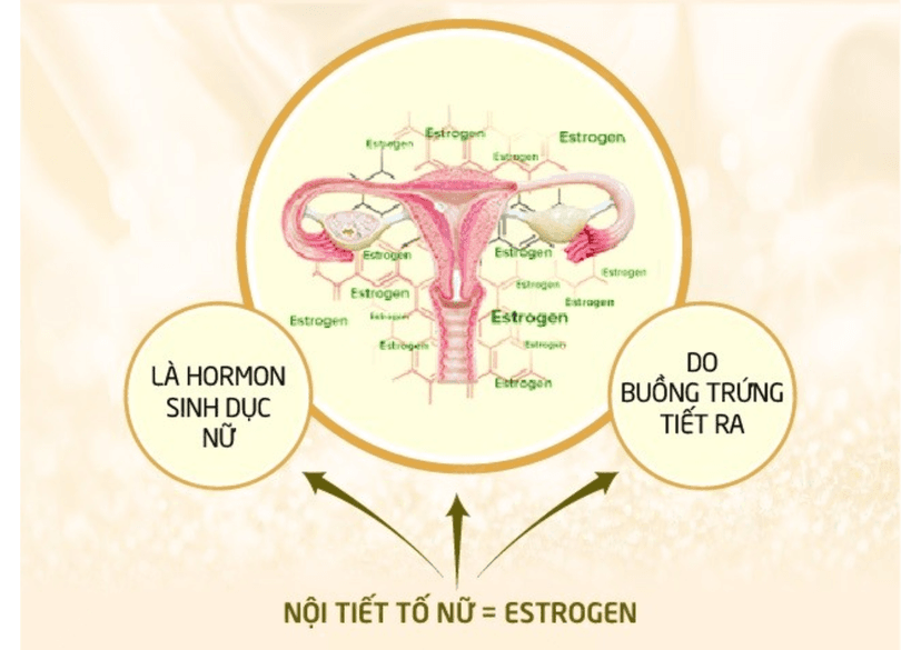 Mất Cân Bằng Hormone Nữ Giới: Nguyên Nhân, Triệu Chứng Và Giải Pháp Hiệu Quả