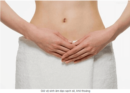 Sức Khỏe Sinh Sản