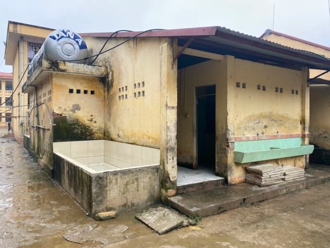Tiêu Chảy: Những điều mà bạn cần biết về bệnh này