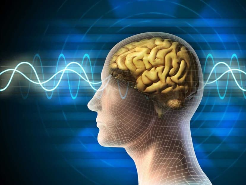Suy giảm nhận thức là gì? Những điều cần biết về suy giảm nhận thức