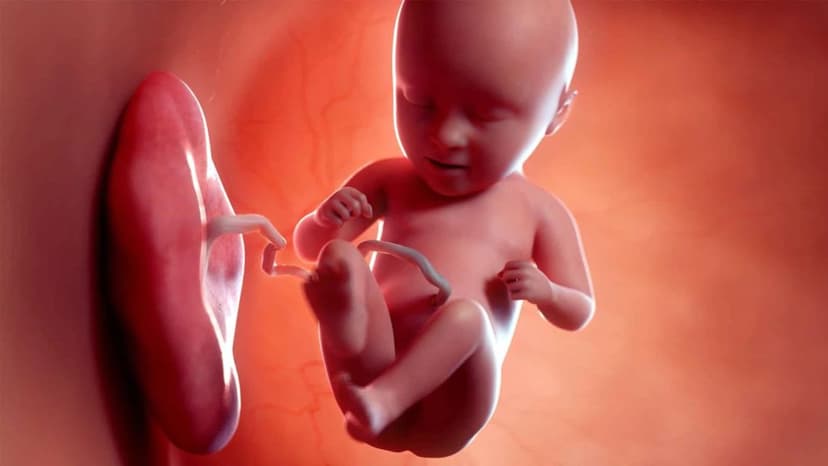 Rau bám mép là gì? Nguyên nhân, triệu chứng và cách xử lý