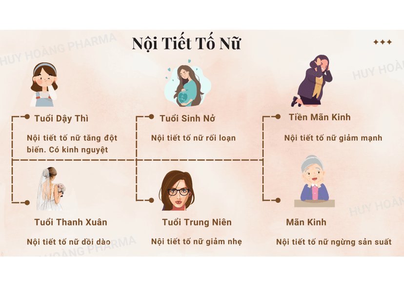 Mất cân bằng nội tiết tố ở nữ giới là gì? Những điều cần biết