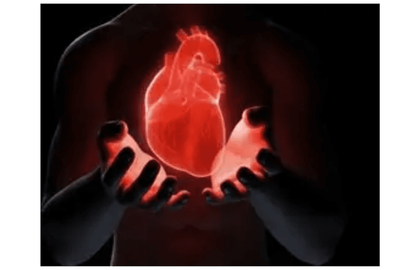 Thiếu Máu Cục Bộ Là Gì? Nguyên Nhân, Triệu Chứng Và Cách Điều Trị