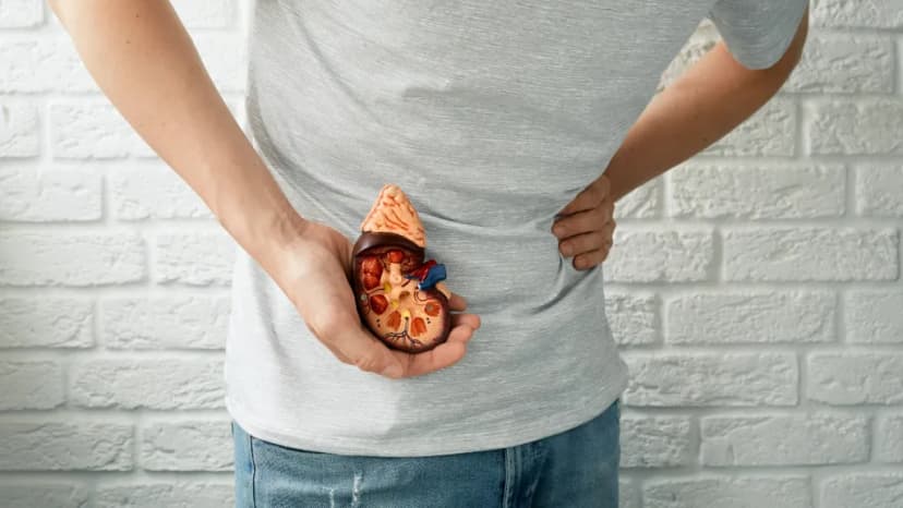 Toan hóa ống thận là gì? Triệu chứng, nguyên nhân và cách điều trị