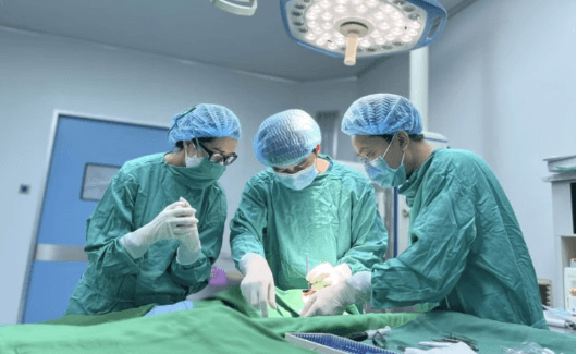 Lộn bàng quang là gì? Triệu chứng, nguyên nhân và phương pháp điều trị