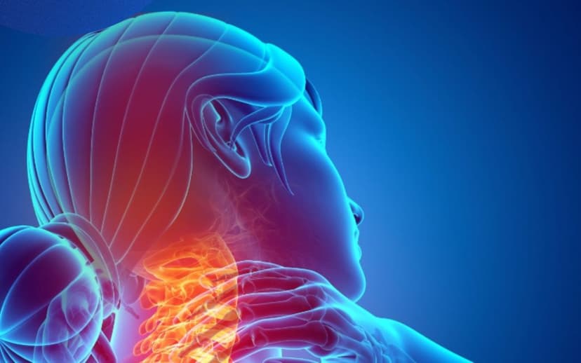 Rễ thần kinh là gì? Những điều cần biết về rễ thần kinh