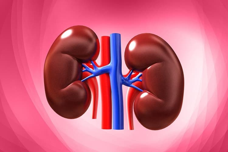 Bệnh thận tắc nghẽn là gì? Những điều cần biết về bệnh thận tắc nghẽn
