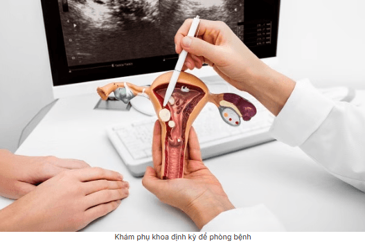 Rối loạn phóng noãn là gì? Những điều cần biết về rối loạn phóng noãn