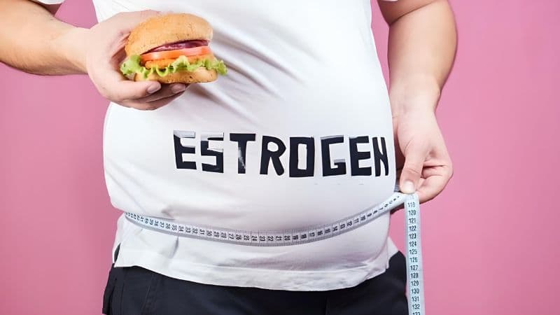 Thừa Estrogen là gì? Nguyên nhân, triệu chứng, phương pháp phòng ngừa